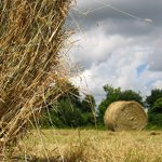 Campagne de Blandefalle, les environs bucoliques de votre gîte